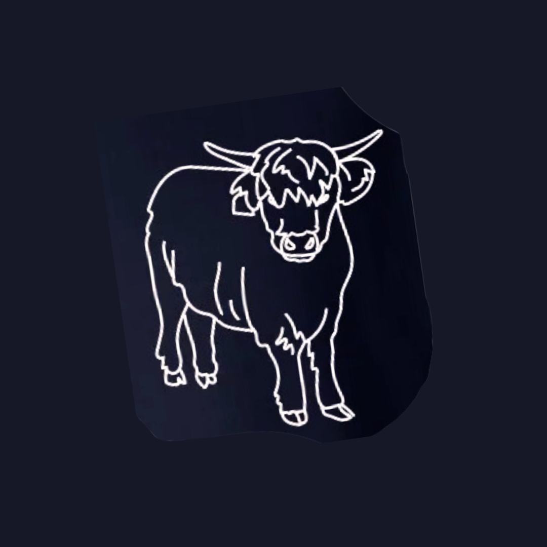 Duncan Ranch Hoodie - Choose Your Favorite Ranch Animal!