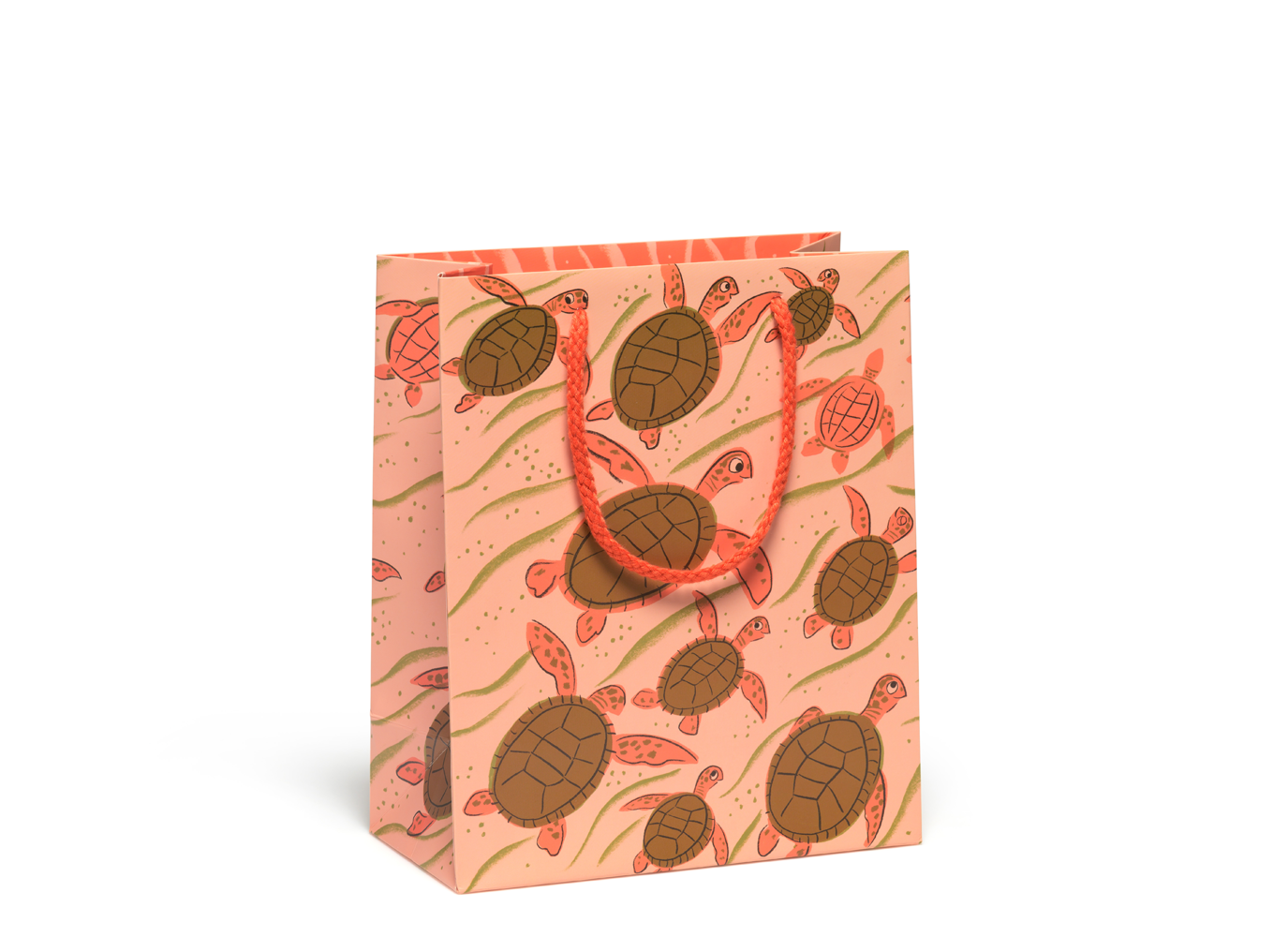 Turtle Family gift bag